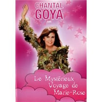 Le mysterieux voyage