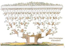 Arbre généalogique - 7 générations