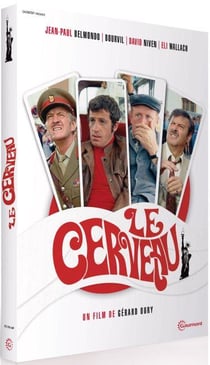 Le Cerveau