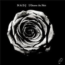 L'oeuvre au noir