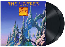 The ladder