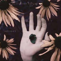 Insight - édition limitée colorée