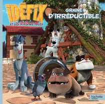 Idéfix et les irréductibles : graine d'irréductible