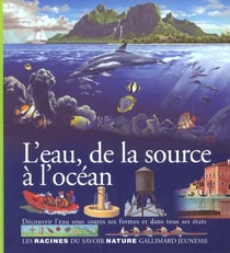 L'eau, de la source a l'ocean