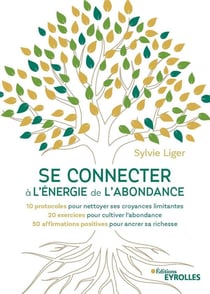 Aimer l'argent, quelle riche idée ! 20 protocoles pour nettoyer ses croyances