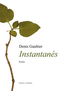 Instantanes