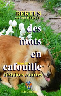 Des mots en cafouille t.3 - histoires courtes