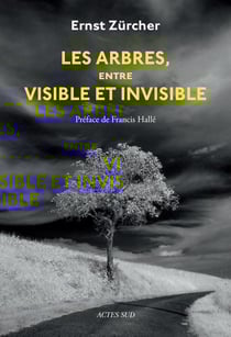 Les arbres, entre visible et invisible : s'étonner, comprendre, agir