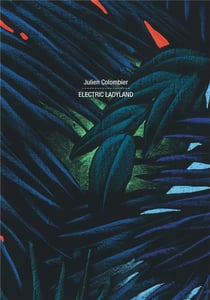 Julien Colombier. electric ladyland