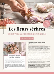 Les fleurs séchées : découvrez la floraison éternelle