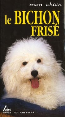 Le bichon frise