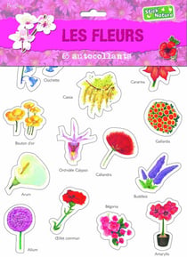 Les fleurs - 65 autocollants