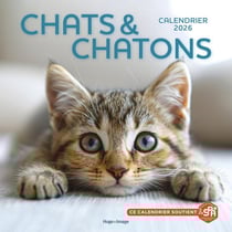 Calendrier mural : Chats et Chatons (édition 2026)