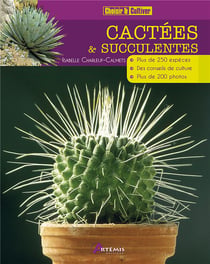Cactees et succulentes