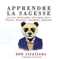 Apprendre la sagesse avec les philosophes classiques grecs Platon, Aristote, Euripide, Epictète - 400 citations