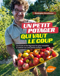 Un petit potager qui vaut le coup - les fruits et les légumes les plus rentables à cultiver sur une petite surface