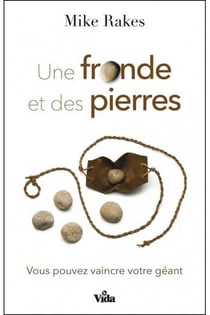 Une fronde et des pierres : vous pouvez vaincre votre géant