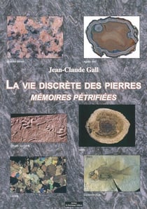 La vie discrète des pierres - mémoires pétrifiées