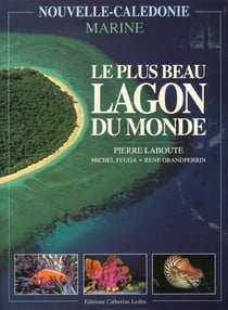 Le plus beau lagon du monde