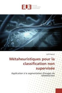 Métaheuristiques pour la classification non supervisée : Application à la segmentation d'images de télédétection