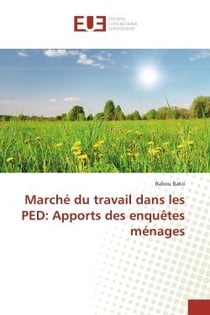 Marche du travail dans les PeD: Apports des enquetes menages