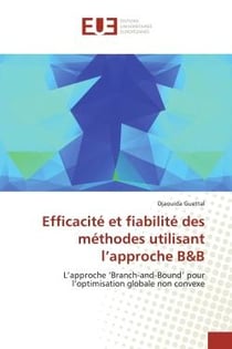 Efficacité et fiabilité des méthodes utilisant l'approche BB : L'approche 'Branch-and-Bound' pour l'optimisation globale non convexe