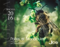 Agenda 2016 Pattes Et Mandibules