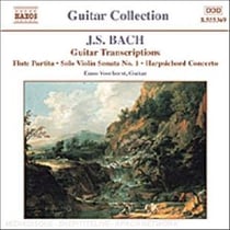 Guitar Transcriptions