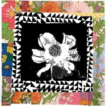Perennial - édition limitée colorée