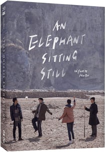An Elephant Sitting Still