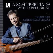 A Schubertiade with arpeggione