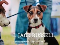 I JACK RUSSELL - A PHOTOGRAPHER AND A DOG'S EYE VIEW