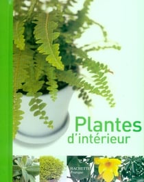 Plantes d'interieur