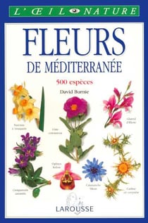 Les fleurs de mediterranee