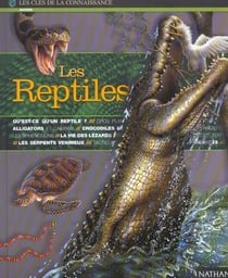 Reptiles