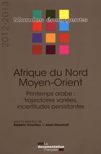 Afrique du Nord, Moyen Orient - printemps arabe : trajectoires variées, incertitudes persistantes