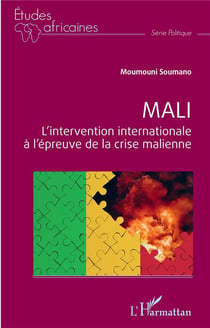 Mali : l'intervention internationale à l'épreuve de la crise malienne