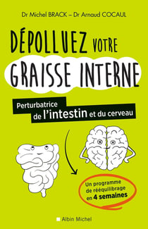 Dépolluez votre graisse interne - pertubatrice de l'intestin et du cerveau - un programme de rééquilibrage en 4 semaines