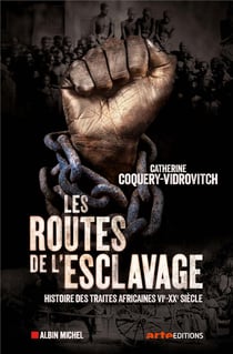 Les routes de l'esclavage - histoire des traites africaines, vie-xxe siècle