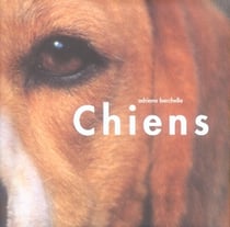 Les chiens