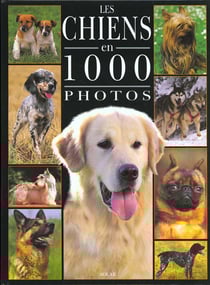Les chiens en 1000 photos