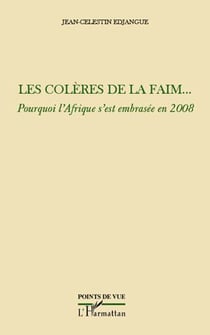 Les colères de la faim... pourquoi l'Afrique s'est embrasée en 2008