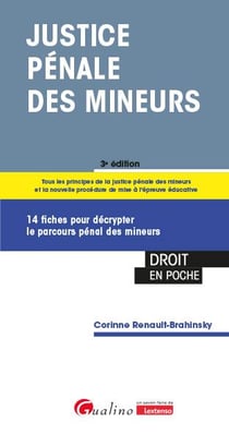 Justice pénale des mineurs : 14 fiches pour décrypter le parcours pénal des mineurs (3e édition)