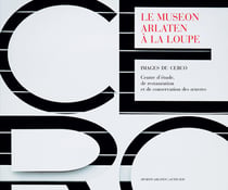 Le museon Arlaten à la loupe