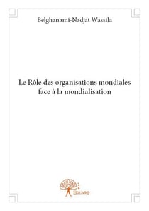 Le rôle des organisations mondiales face à la mondialisation