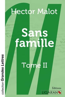 Sans famille Tome 2