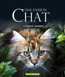 Une passion - chat