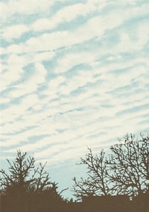 Carnet : atlas des nuages
