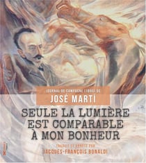 Seule la lumiere est comparable a mon bonheur - journal de campagne (1895)
