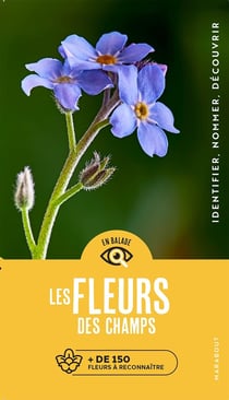En balade : les fleurs des champs